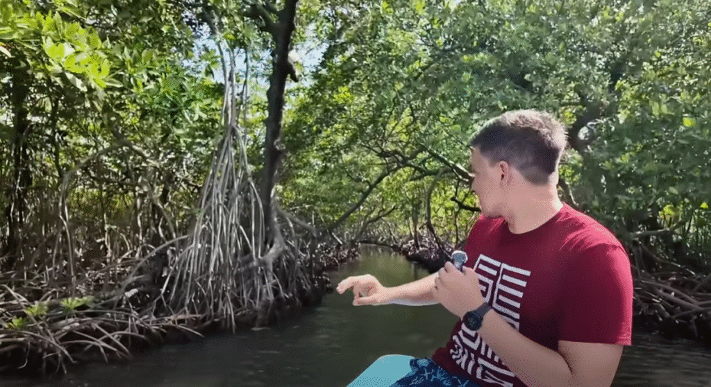 Joven con camiseta roja y diseño gráfico navegando en bote por un túnel de manglares en Roatán, rodeado de raíces y vegetación.
