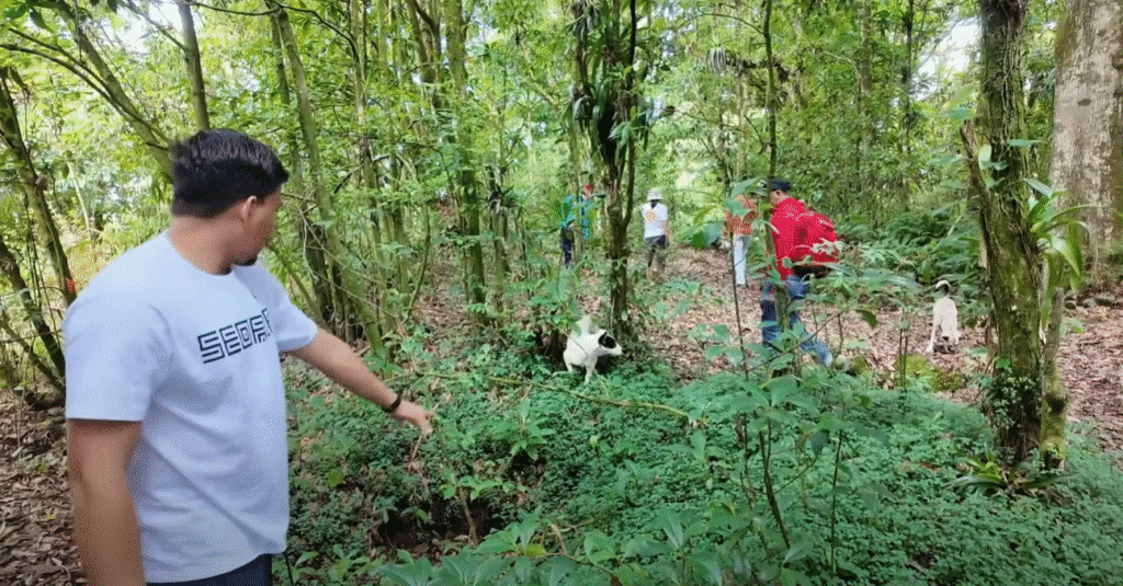 Jóvenes explorando el bosque del Cerro de los Hoyos en Intibucá; un hombre con camiseta gris señala una abertura en el suelo mientras otro con camiseta roja camina entre árboles.