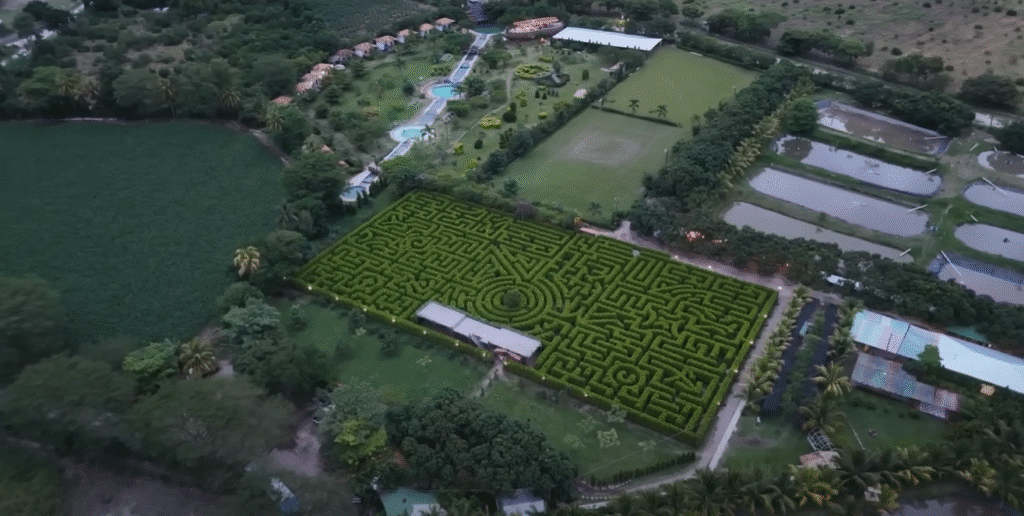 Vista aérea de un laberinto de setos en Comayagua, con caminos sinuosos en forma cuadrada rodeado de áreas verdes, campos de cultivo y edificios del complejo.