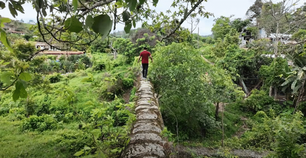 Persona con camiseta roja caminando sobre un antiguo acueducto o muro de piedra estrecho, rodeado de vegetación exuberante y casas entre árboles en Danlí.