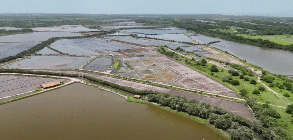 Vista aerea de estanques rectangulares de salinas o cultivo acuicola en Choluteca, con caminos de tierra y vegetacion alrededor.