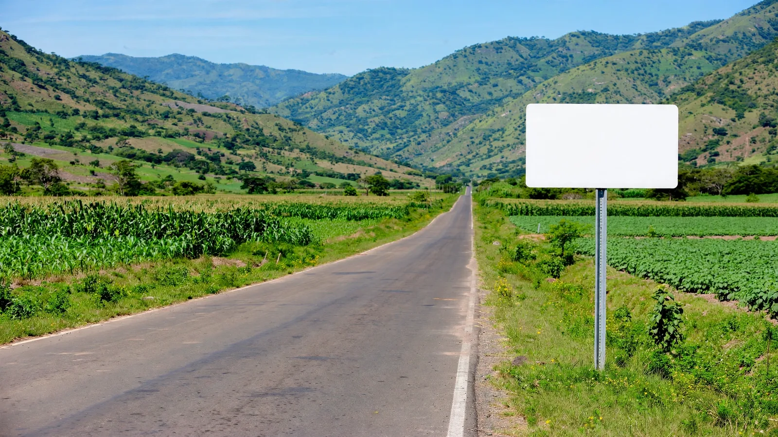 Carretera rural recta junto a cultivos de maíz y un rótulo en blanco