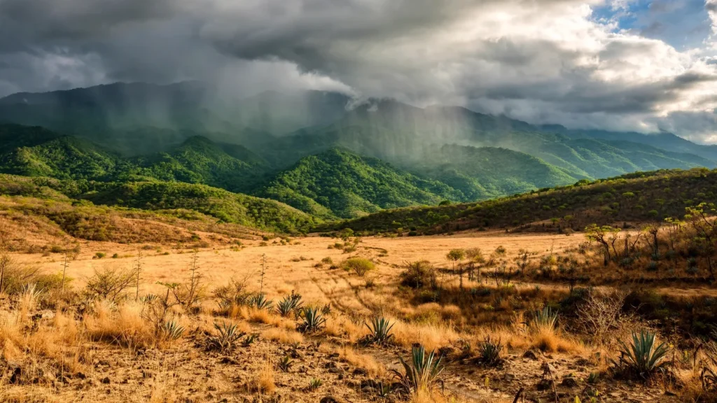 Valle seco y soleado con montañas verdes bajo nubes de lluvia al fondo